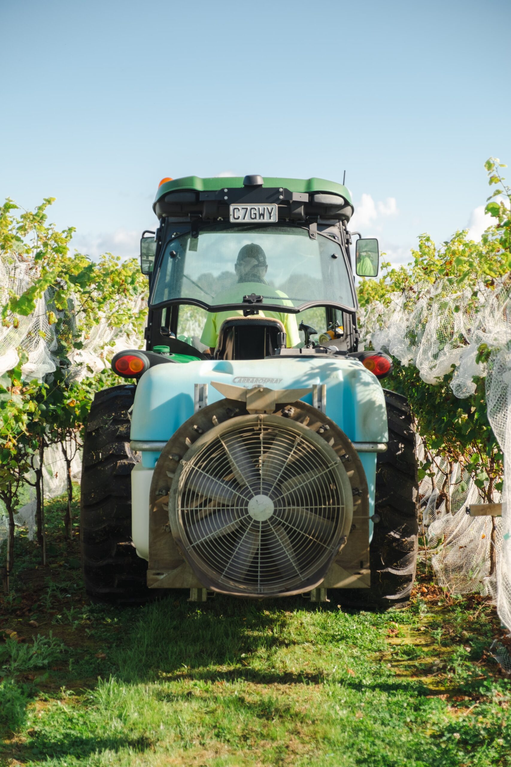 Tractor in vineyard
