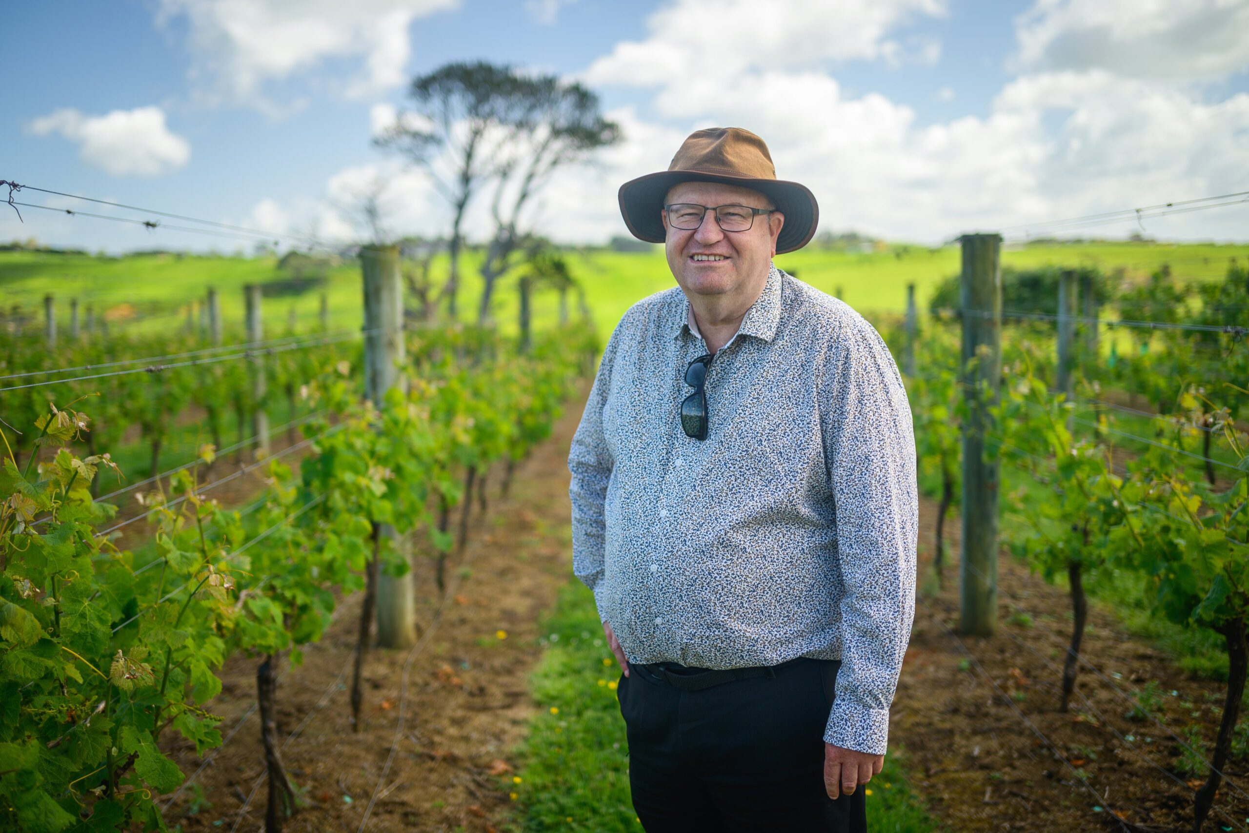 Person infront of vineyard